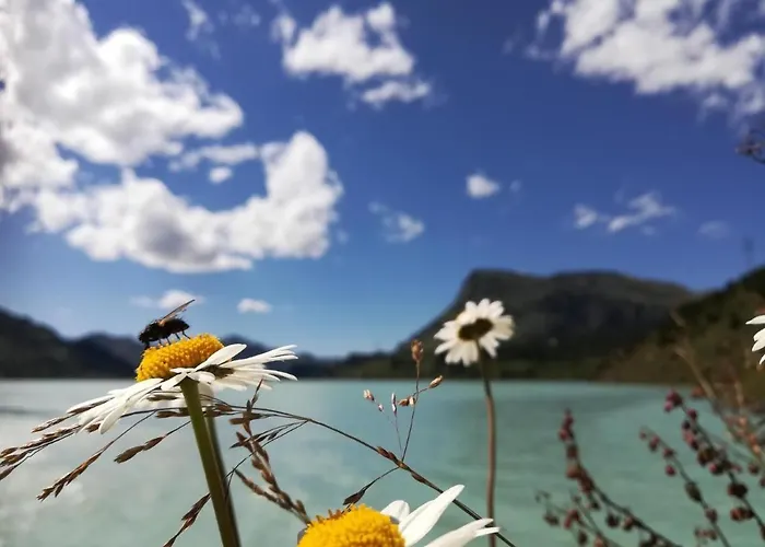 Haus Sabrina Kreuzjoch Apartman